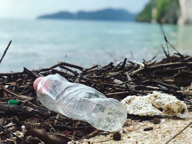 Reducing packaging and plastic waste in the EU